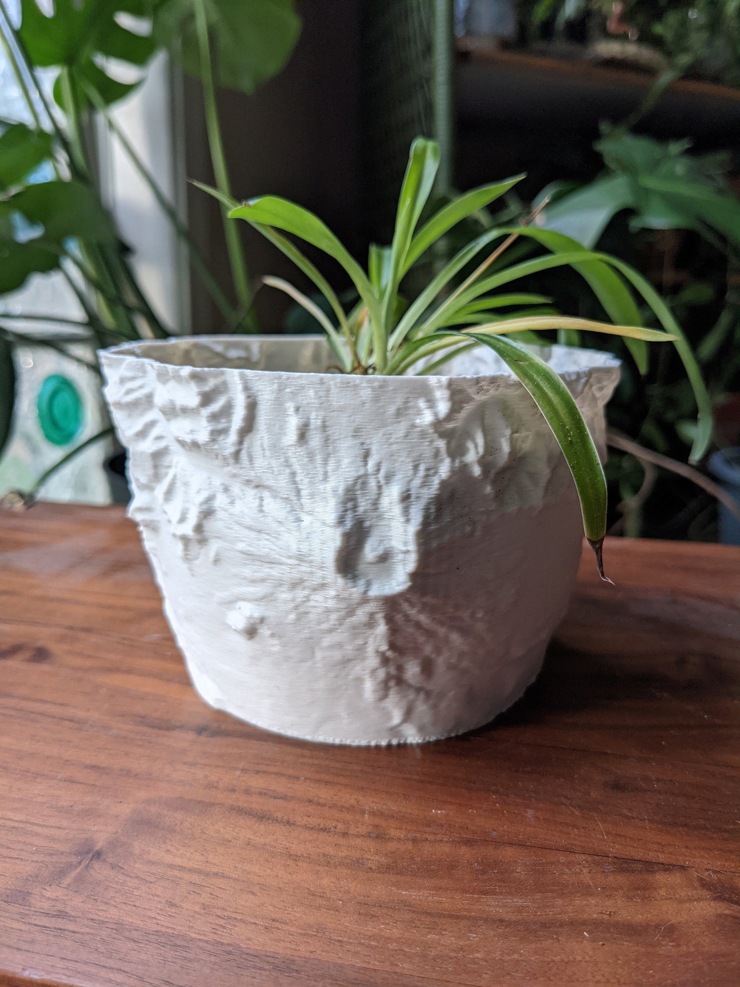 Mt. St. Helens Planter