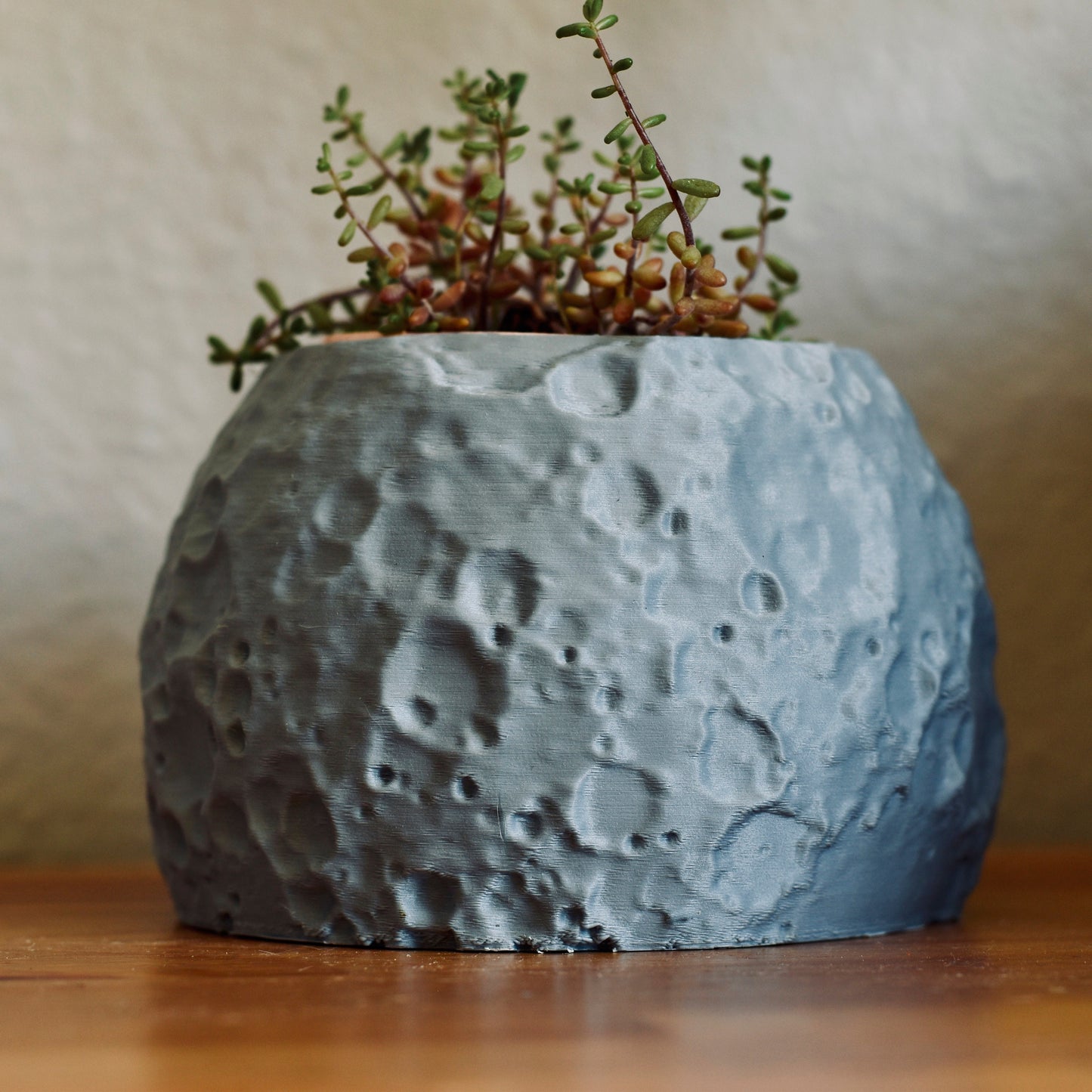 Moon Planter 3