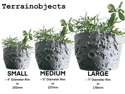 Moon Planter 1