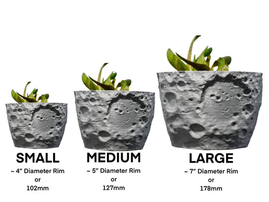 Moon Planter Type Two