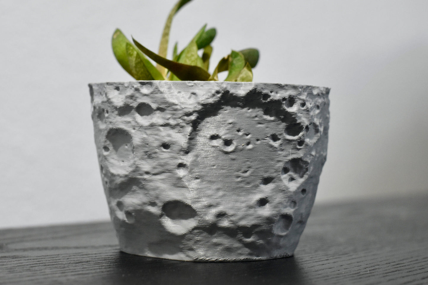 Moon Planter 2