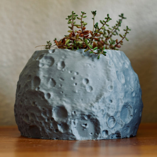 Moon Planter 3