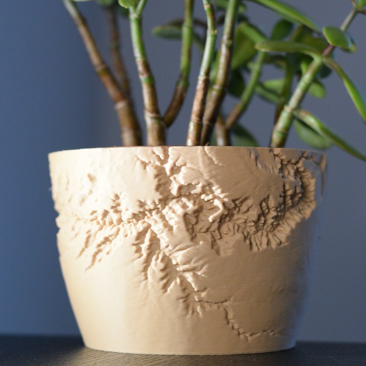 Grand Canyon Planter