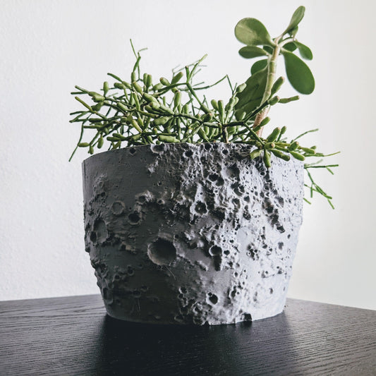 Moon Planter 1