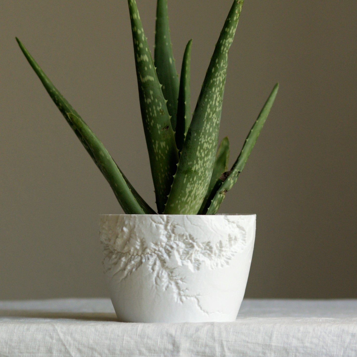 Grand Canyon Planter