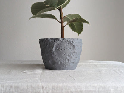 Moon Planter 2