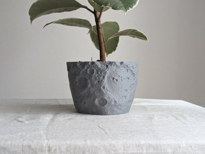 Moon Planter 2