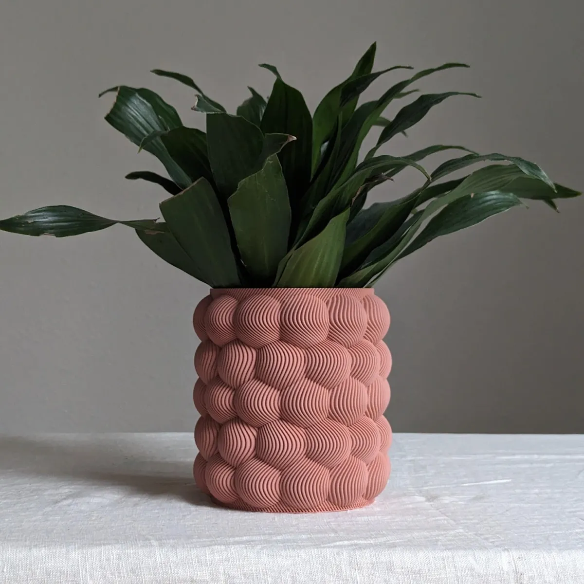 Bubble Planter